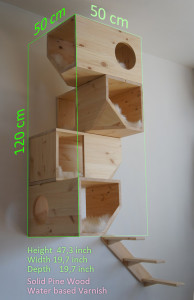 catissa dimensions