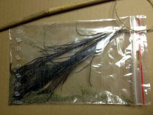 Feathers in the bag of catnip